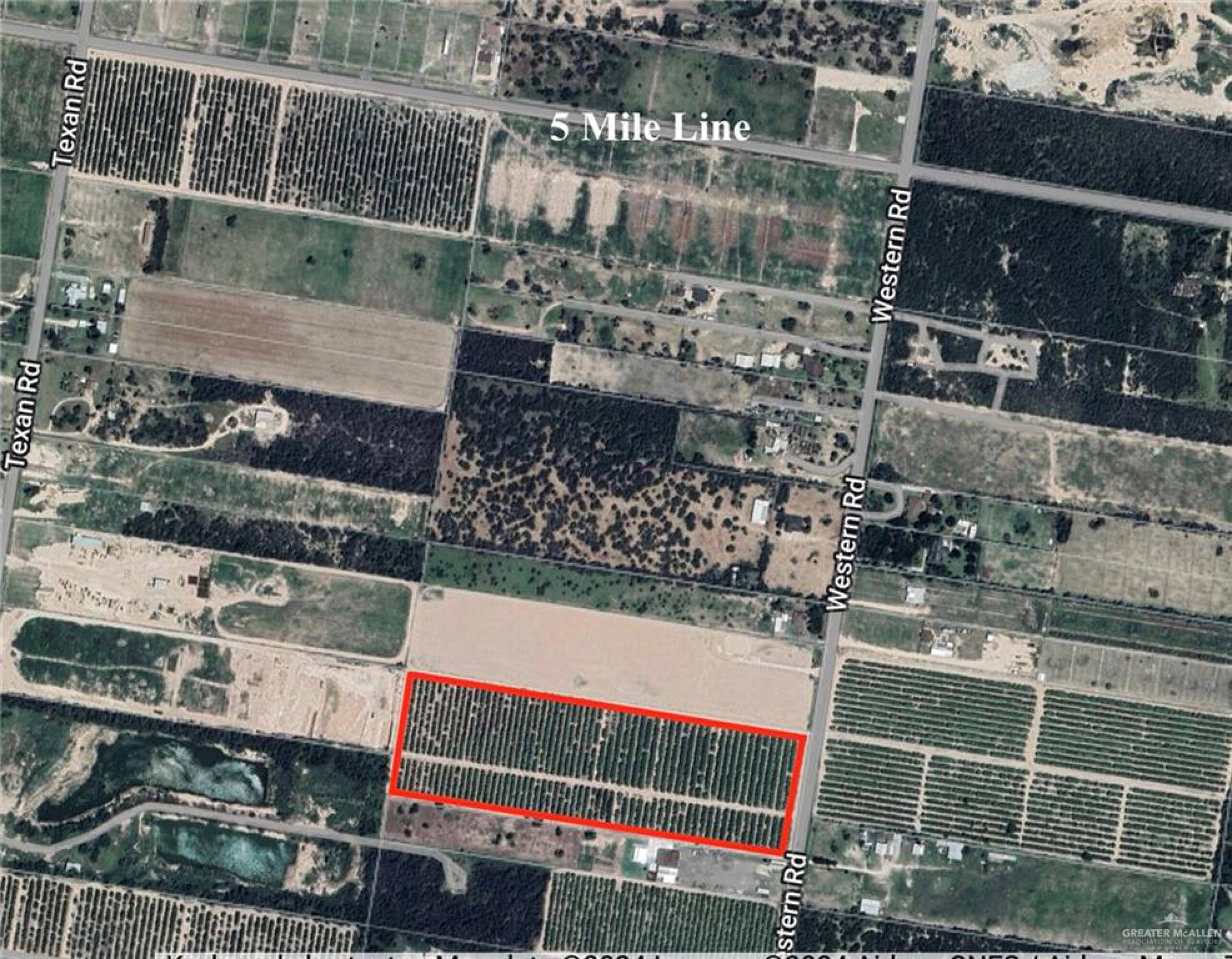 Commercial Property for Sale in  Texas 78572